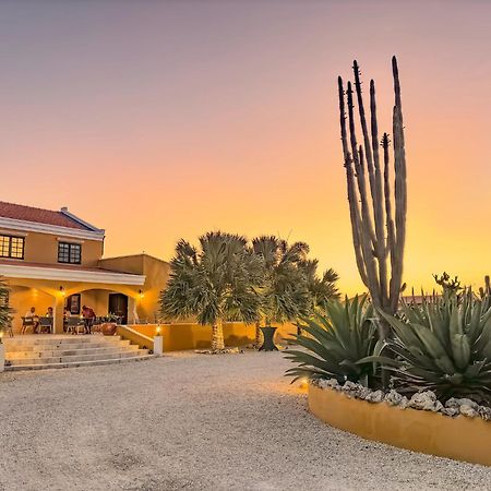 Boutique Hotel Wanapa - Adult Friendly - 14 Years And Older Kralendijk na wyspie Bonaire Zewnętrze zdjęcie